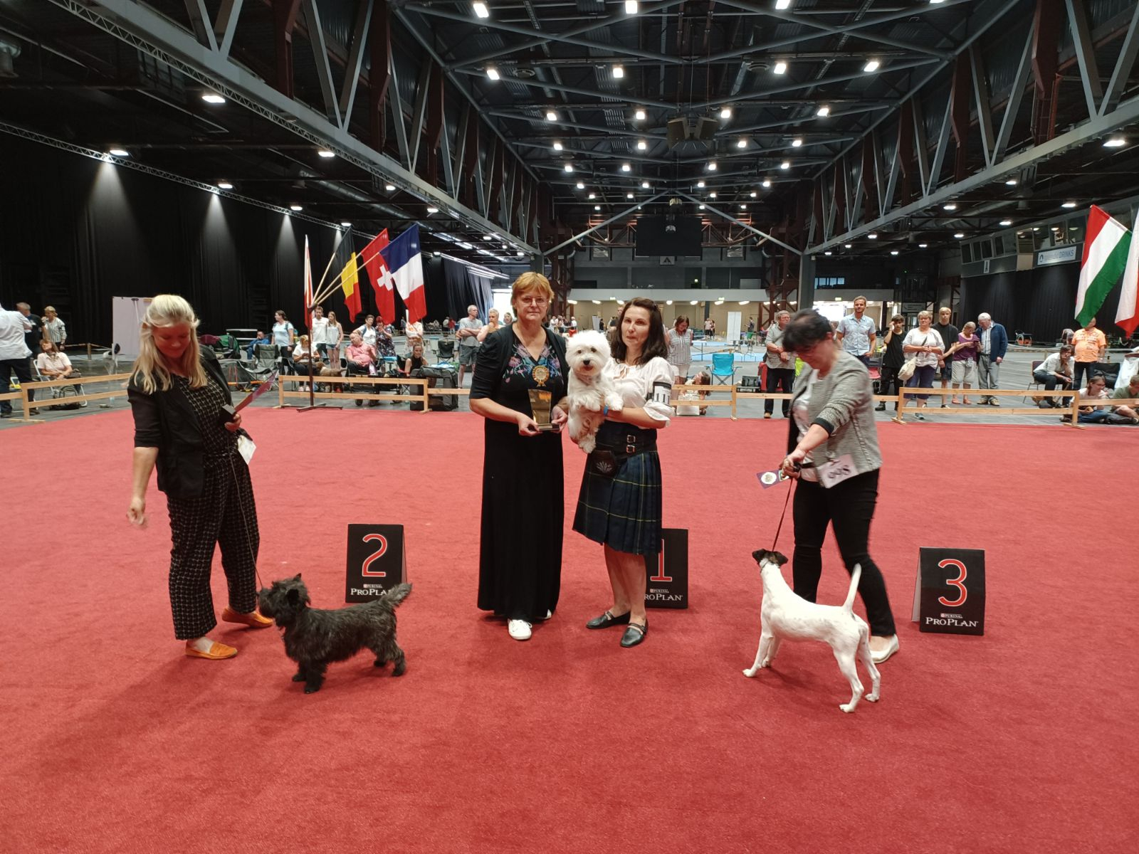 Sieger Gruppe 3:
1119 West Highland White Terrier – Premium Version Harley Irsimos – Besitzer: Oksana Sharyy UK