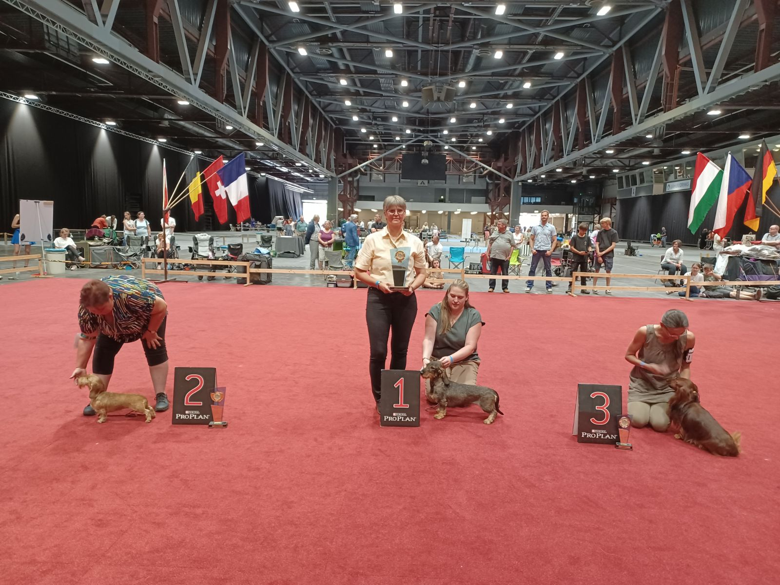 Sieger Gruppe 4:
1172 Standardteckel rauhhaarig - Charlotte vom Linteler-Forst – Besitzer: Dieter Engel D