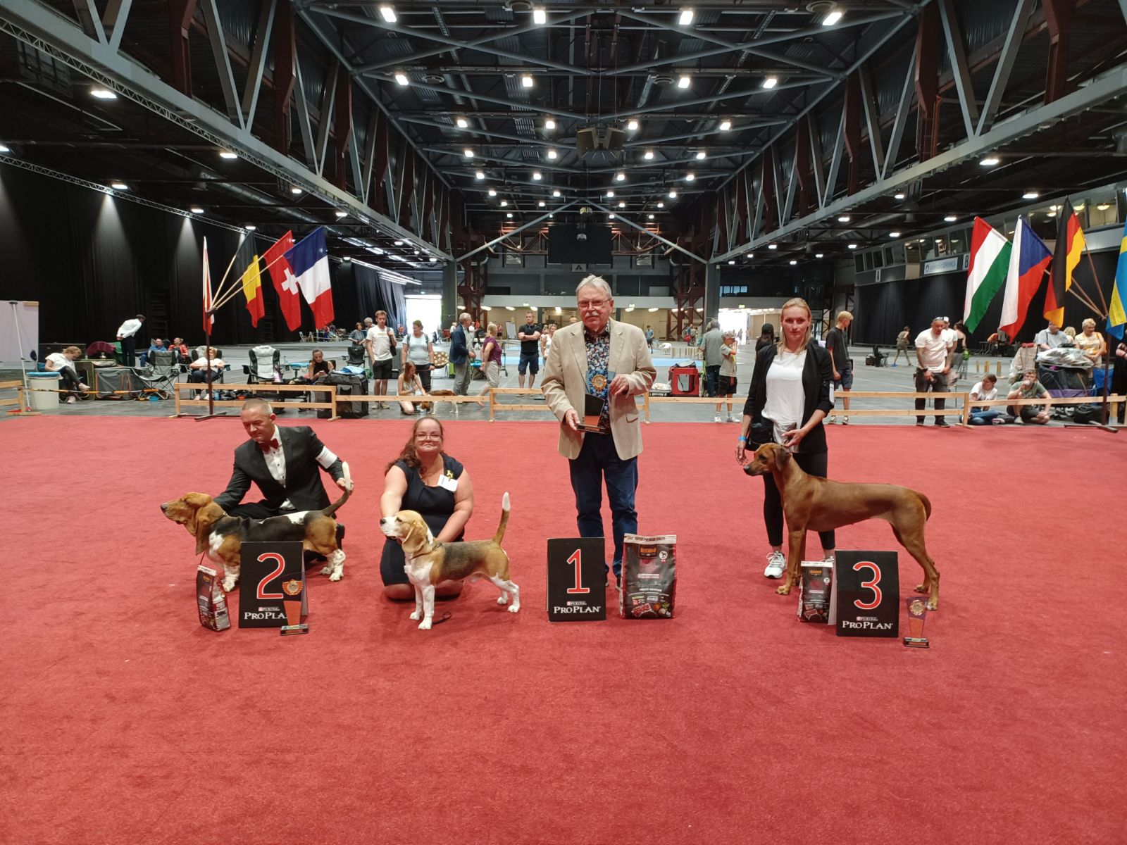 Sieger Gruppe 6:
1278 Beagle -  Sparkling Magic The Right Thing – Besitzer: Linn Matthisson DK