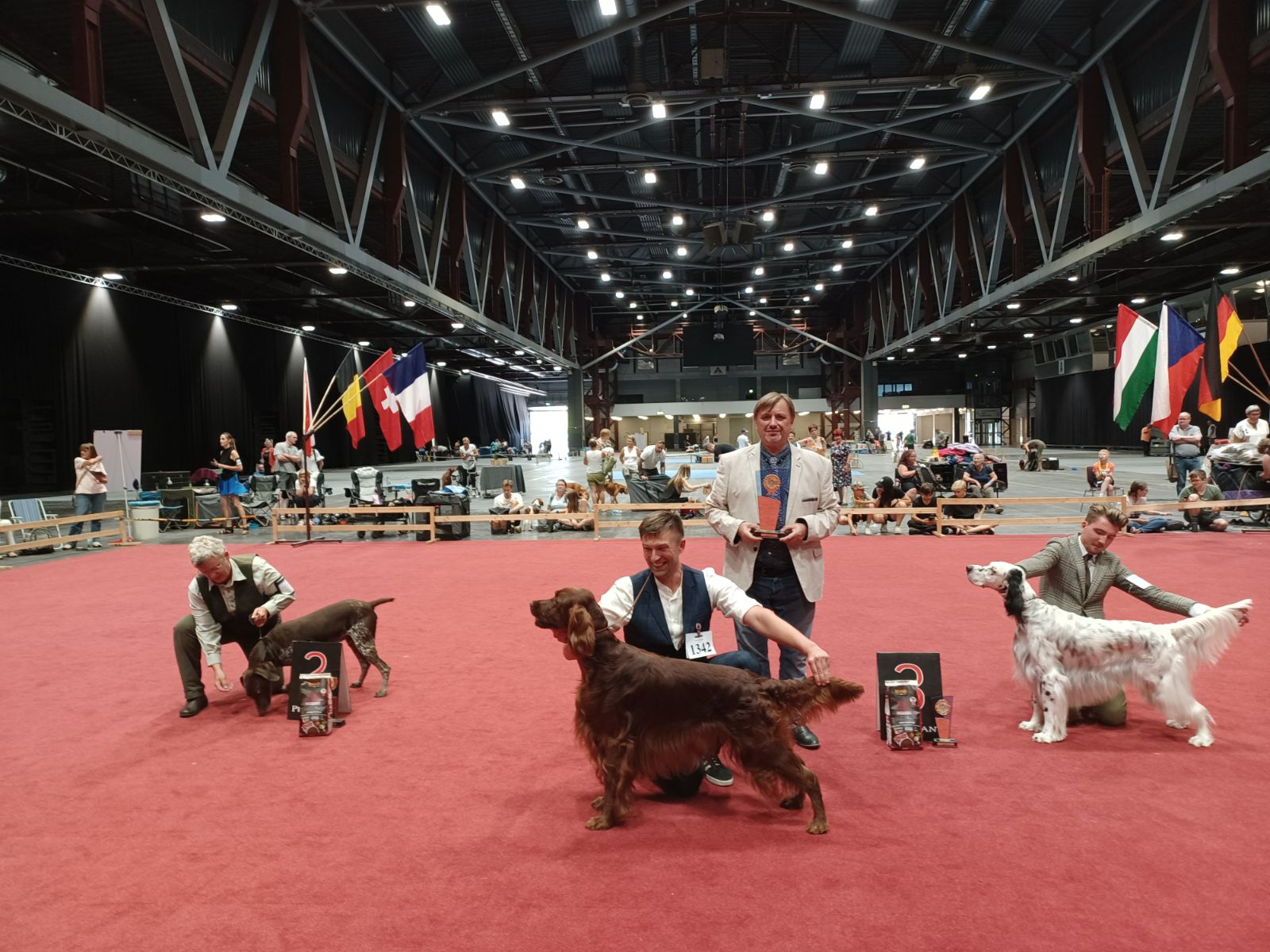 Sieger Gruppe 7:
1342 Irish Red Setter - Fire of Freedom Dragonborn – Besitzer: Katarzyna Milewska-Wilk PL