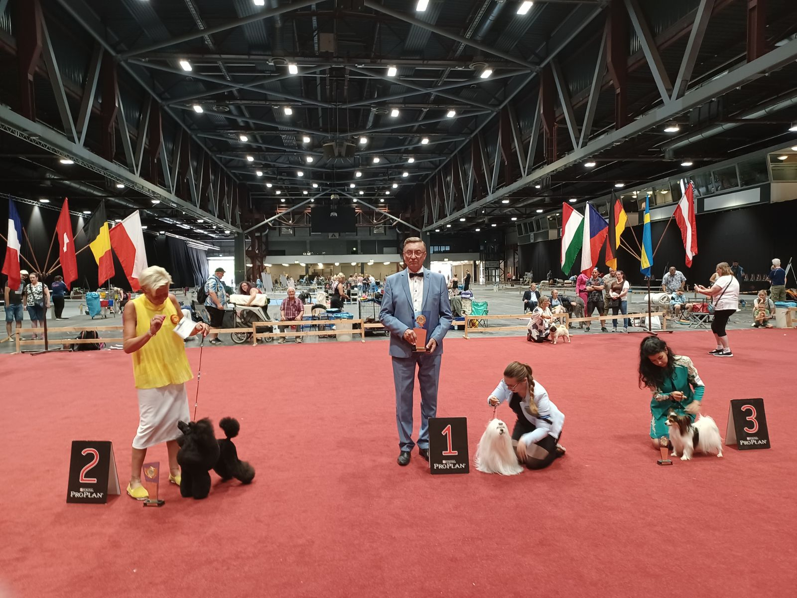 Sieger Gruppe 9:
442 Malteser - OMG Monwhite Star – Besitzer: Monika u. Simona Kupicovy CZ