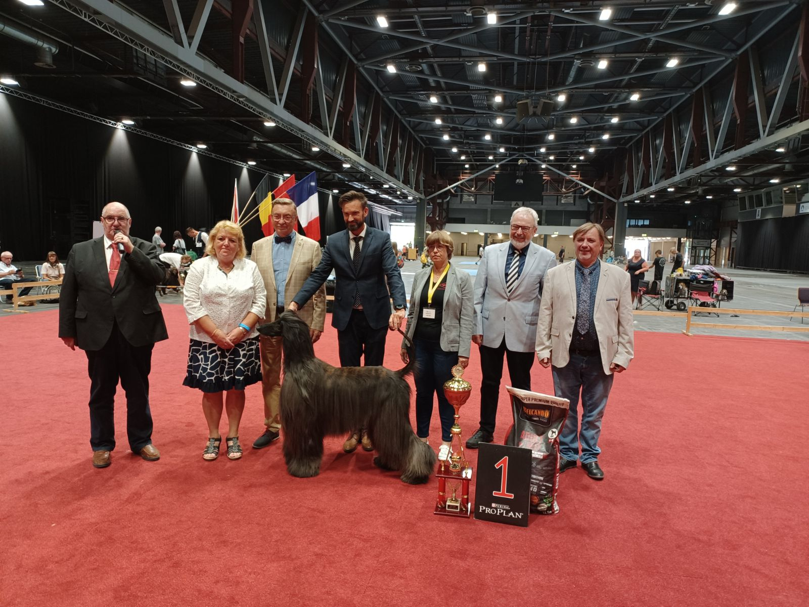 Sieger Chemnitz 2022:
BIS  621 Afghane - Agha Djari's Karkatis Comeback – Besitzer: Rosemarie Bauss und Nico Kersten D 