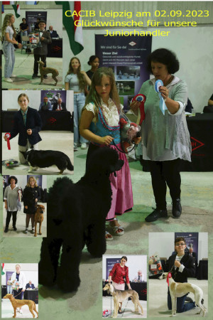 Juniorhandling 13. CACIB Leipzig 2023