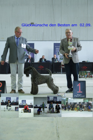 Best 13. CACIB Leipzig 2023