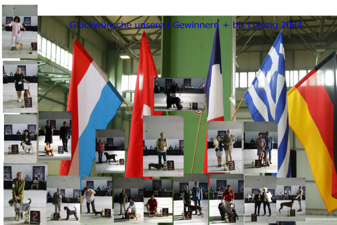 1. LIPZG Dog Show 2023